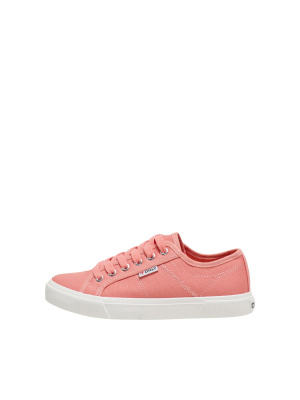 Baskets basses Nicola