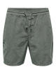 22029657 - CASTOR GRAY