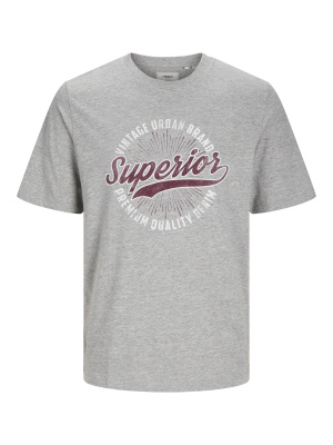 Tee shirt GMS James