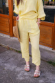 06053-19 - FLEA JAUNE