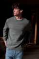 22033783 - CASTOR GRAY