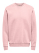 22018683 - VEILED PINK