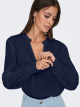 15365938 - BLACK IRIS