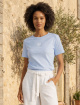 15354642 - KENTUCKY BLUE FLOCK A