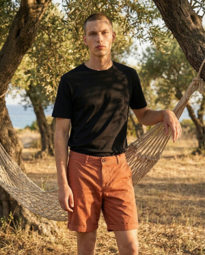 Bermuda chino ferra