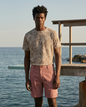 Bermuda chino Terra