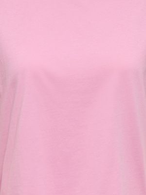 Tee shirt Rex