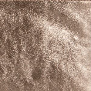 Pochette louisville nano xs