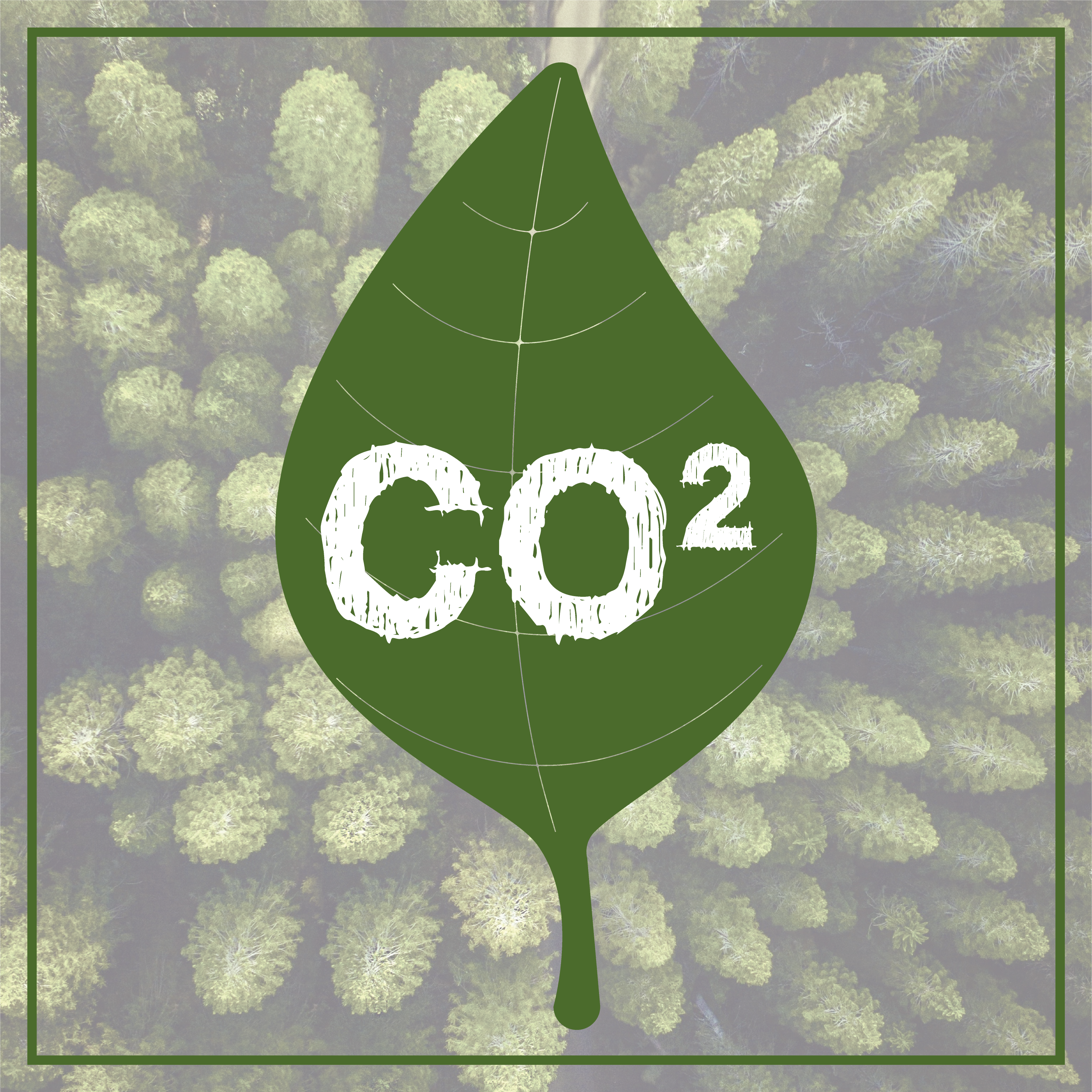 CO2.png